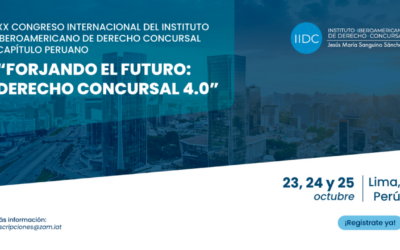 Dictum, en el XX Congreso Internacional del Instituto Iberoamericano de Derecho Concursal